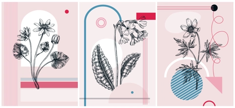 Collage-style first spring wildflowers vector illustration. Hand-drawn floral banner. Trendy design with botanical sketches, and geometric shapes. Winter anemone, cowslip, lesser celandine flowers